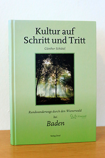 Buch Thumbnail