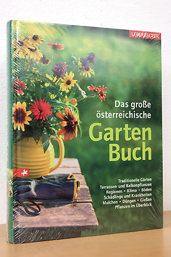 Buch Thumbnail