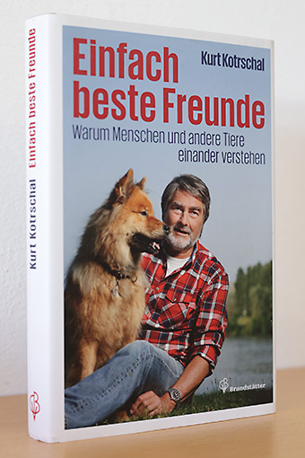 Buch Thumbnail