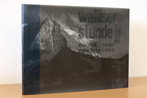 Buch Thumbnail