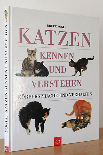 Buch Thumbnail