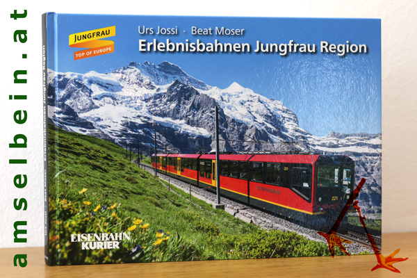 Buch Thumbnail