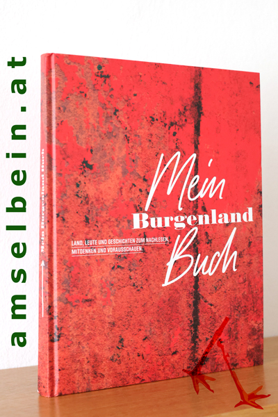 Buch Thumbnail