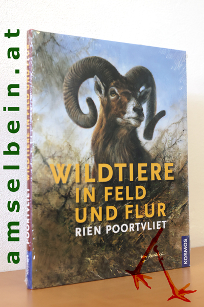 Buch Bild