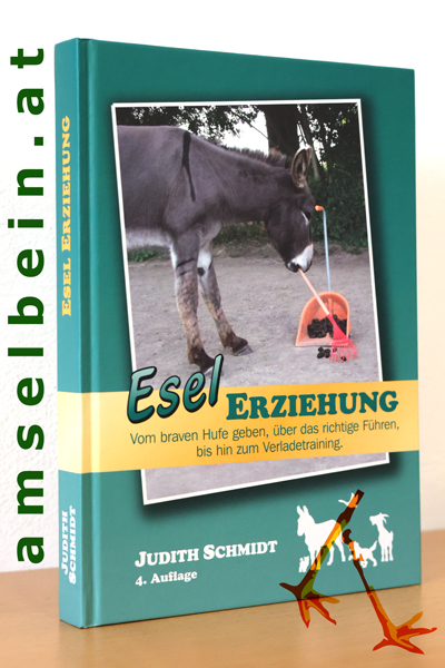 Buch Thumbnail