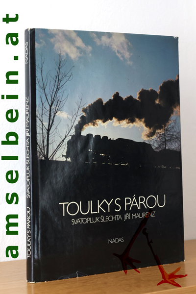 Buch Thumbnail
