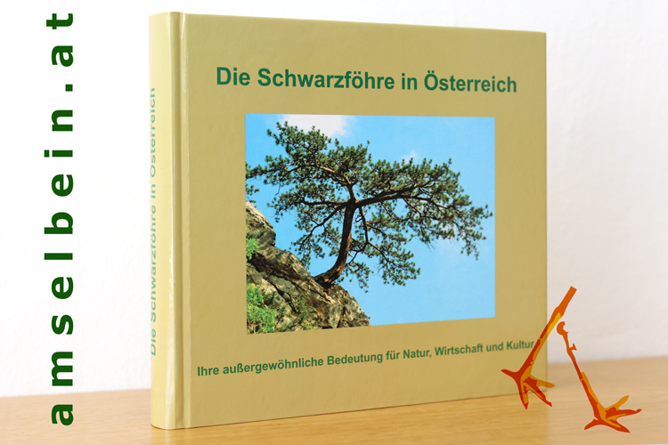Buch Thumbnail