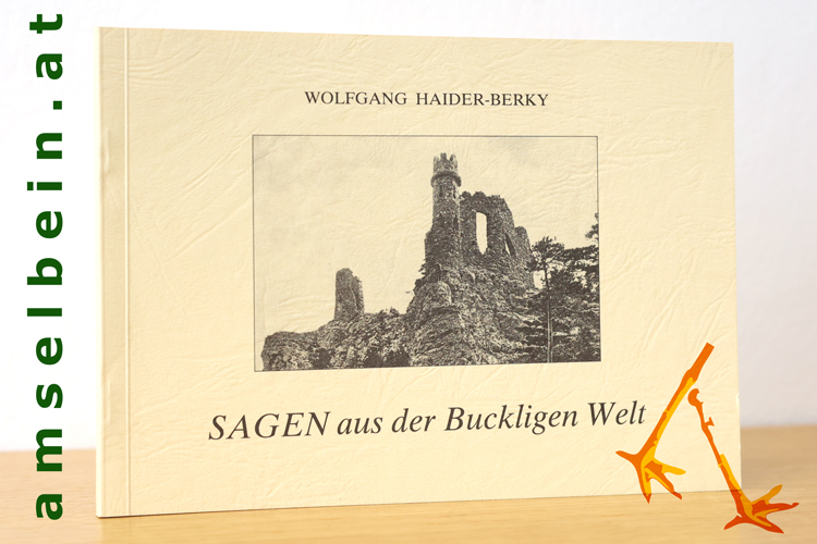Buch Thumbnail