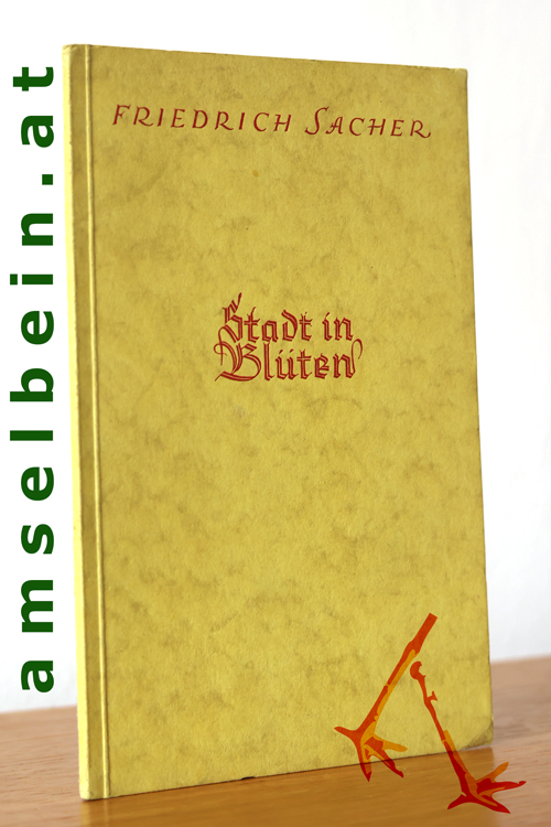 Buch Thumbnail