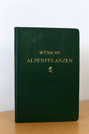 Buch Thumbnail