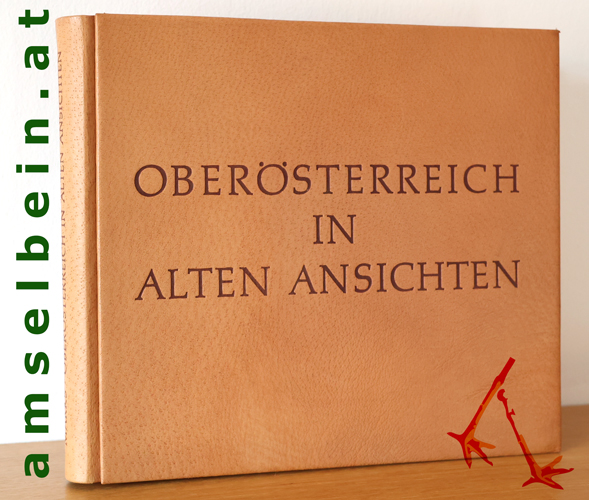 Buch Thumbnail