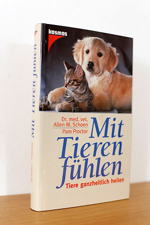 Buch Thumbnail