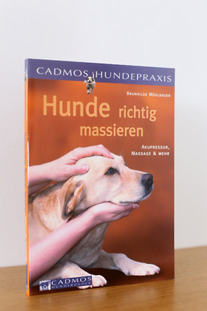 Buch Thumbnail