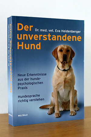 Buch Thumbnail