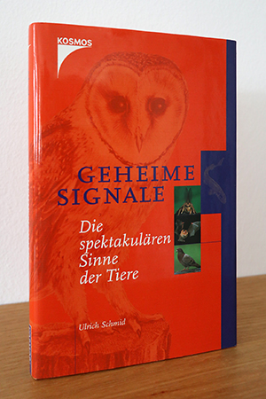 Buch Thumbnail